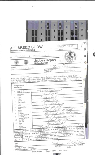 Gadfly show 2005 judge report card.jpg